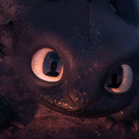 Httyd Profile Pic, Toothless Icons Aesthetic, How To Train Your Dragon Widget, Toothless Pfp Aesthetic, Httyd Icons Aesthetic, Hiccup Aesthetic Httyd, Httyd Pfp Aesthetic, Toothless Widget, Dragons From How To Train Your Dragon