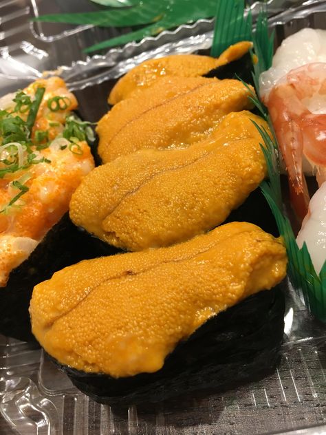 [I Ate] Sea Urchin Sushi Sea Urchin Sushi, Sea Urchin, Food Images, The Hub, Street Food, Seafood, Balloons, Yummy Food, Healthy Recipes