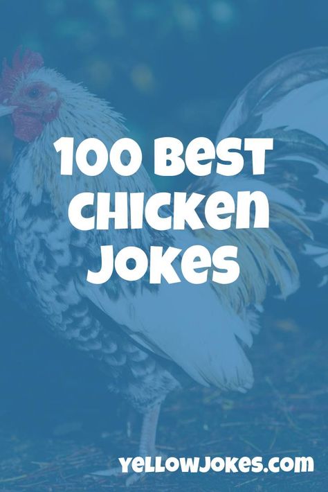 Chicken Jokes Hilarious Humor, Jokes About Chickens, Chicken Quotes Funny Humor, Chicken Jokes Hilarious, Chicken Funny Humor, Funny Chicken Quotes, Egg Jokes, Chicken Puns, Chicken Quotes