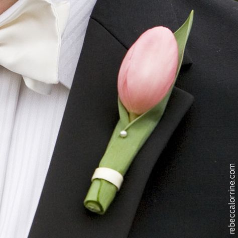 Tulip Boutonniere, Pink Boutonniere, Tulip Wedding, Corsage Prom, Boutonniere Wedding, Pink Tulips, Bride Bouquets, Here Comes The Bride, Pink Wedding