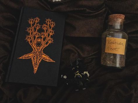 Traditional witchcraft Traditional Witchcraft Aesthetic, Witchcraft Aesthetic, Traditional Witchcraft, Valerian Root, Valerian, Coven, Underworld, Instagram