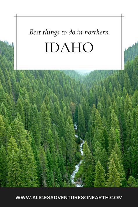 Best things to do in Northern Idaho, this area of the state has tons to do. #idaho #northernidaho #travel Couer Dalene Idaho, Spirit Lake Idaho, Bonners Ferry Idaho, Wallace Idaho, Priest Lake Idaho, Post Falls Idaho, Idaho Adventure, Montana Trip, Sandpoint Idaho