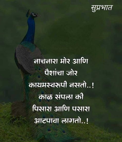 Marathi Images, Marathi Kavita, Marathi Love Quotes, Good Morning Image Quotes, Knowledge Quotes, Ganesh Chaturthi, Daily Inspiration Quotes, Jokes Quotes, Quotable Quotes