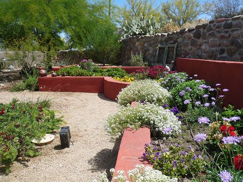 Landscape Before & After Gallery Tucson, AZ | Sonoran Gardens Inc. Desert House, Planting Plan, Landscape Designs, Desert Homes, Green Valley, Diy Landscaping, Tucson Arizona, Tucson Az, Garden Planning