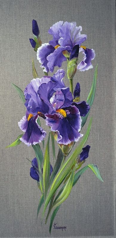 Iris Flowers Aesthetic, Iris Flowers Painting, Iris Drawing, Iris Watercolor, Iris Art, Iris Painting, Watercolor Flowers Tutorial, Flower Painting Canvas, Soyut Sanat Tabloları