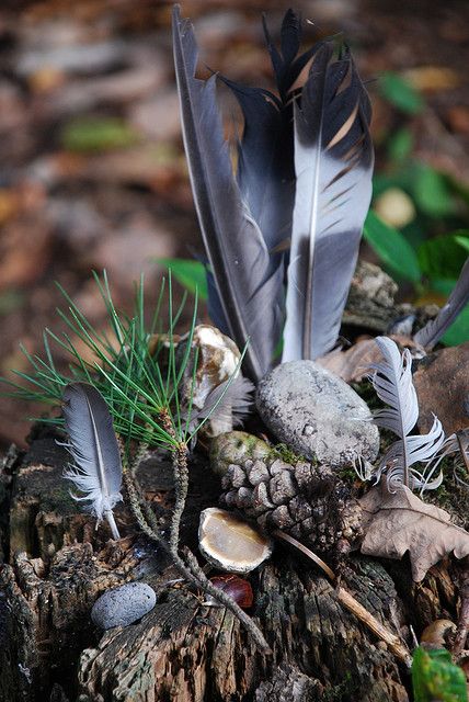 A shaman's altar may include gifts from nature and animals. Feathers, sage, pinecones and more...JW #towardthewithin Forest Altar, Shaman Tools, Earth Altar, Outdoor Altar, Sacred Altar, Nature And Animals, Hampstead Heath, Pagan Altar, Sacred Spaces