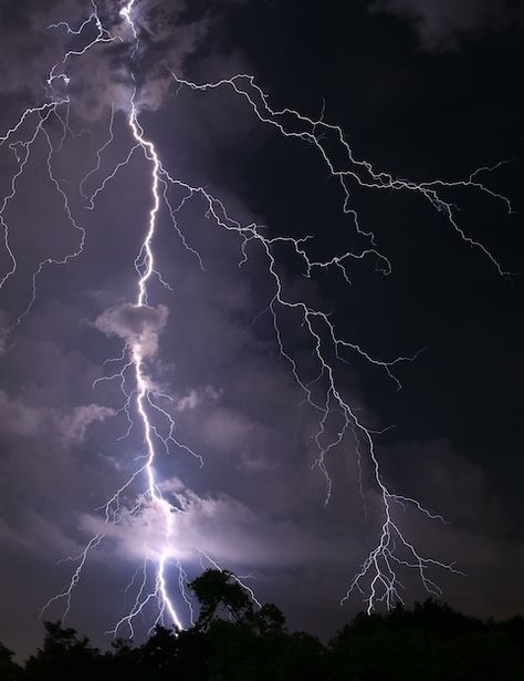 Storm With Lightning, Types Of Lightning, Storm Pictures Thunderstorms, Pretty Thunderstorms, Lightning Real, Lightning Bolt Aesthetic, Lightning Reference, Storm Forest, Pretty Lightning