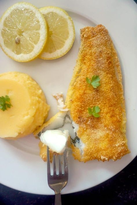 Corn Meal Fish Breading, Cornmeal Fish Breading, Cornmeal Fried Fish, Fried Cod Fish Recipes, Fried Cod Fish, Fried Trout, Fried Flounder, Breaded Cod, Crusted Cod