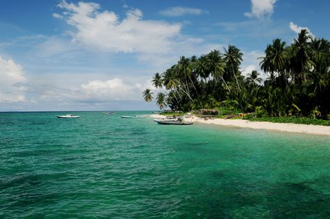 Use this guide to visit the Derawan Islands in East Kalimantan before tourism explodes there. Learn about the marine life, how to get there, and more. Bajau People, East Kalimantan, Wallpaper Gold, The Marine, The Wallpaper, Marine Life, Solo Travel, Snorkeling, Places To Travel