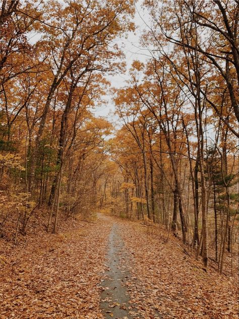 Fall Health Aesthetic, Running In Fall Aesthetic, Fall Aesthetic Outdoors, Autumn Hike Aesthetic, Fall Hike Aesthetic, Fall Running Aesthetic, Fall Fitness Aesthetic, Hiking Aesthetic Fall, Fall Mountain Aesthetic