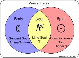 truth) Vesica Pisces, Scared Geometry, Anima And Animus, Astrology Pisces, Cosmic Consciousness, Masculine Energy, Dream Symbols, Dream Interpretation, The Tree Of Life