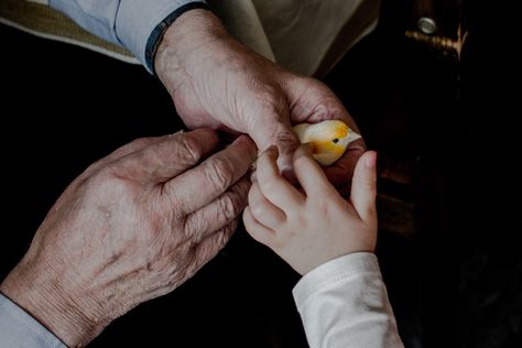 Grandpa Aesthetic, Family Generations, The Fallen Angel, Old Hands, Pastel Wallpaper, Red Aesthetic, Character Aesthetic, Photo Library, Me Me Me Song