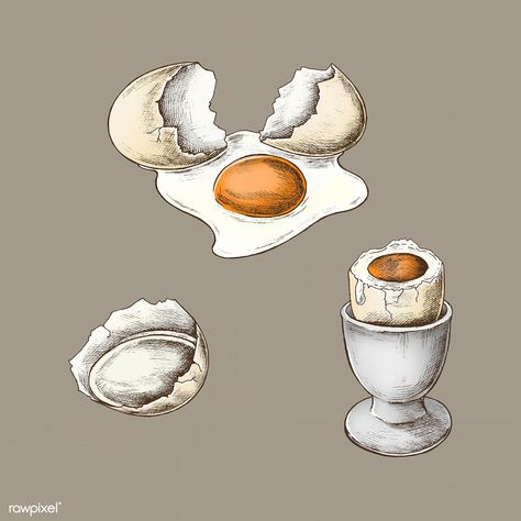 Cracked eggshell and boiled egg vector | premium image by rawpixel.com / marinemynt Egg Cracking Drawing, Cracked Egg Drawing, Egg Drawing, Watermelon Cartoon, Vintage Food Posters, Egg Watercolor, Egg Vector, Cracked Egg, Free Hand Drawing