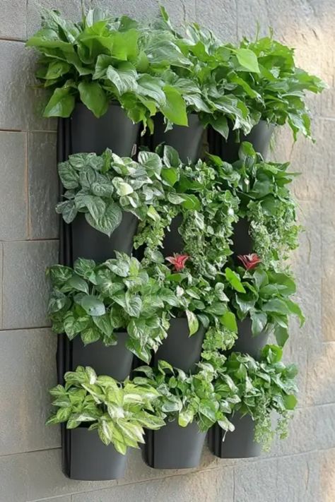 Looking to spruce up your home with some lively greenery? Discover creative vertical planters that can seamlessly transform your balcony, patio, or indoor space into a beautiful mini-garden. Vertical gardening not only saves space but adds a unique aesthetic to any room. From easy DIY ideas to ready-made solutions, these planters allow you to grow herbs, flowers, or even vegetables. Dive into this space-saving gardening trend, perfect for urban living or those with limited yard space. Vertical Planter Ideas, Pallet Gardens, Pallet Garden Walls, Thyme Flower, Garden Vertical, Easy Diy Ideas, Wall Mounted Planters, Grow Herbs, Vertical Garden Indoor