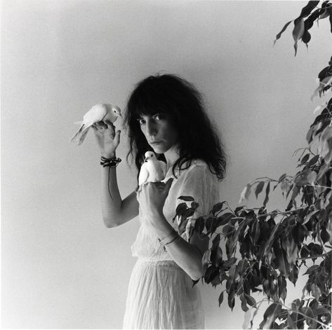 Patti Smith Robert Mapplethorpe, Robert Mapplethorpe Photography, Patty Smith, Louis Garrel, David Bailey, Robert Frank, Monday Inspiration, Robert Mapplethorpe, Cecil Beaton