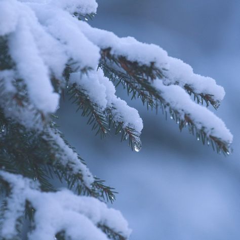 Hot Cocoa Aesthetic Winter, Dreamy Winter Aesthetic, Elegant Winter Aesthetic, Winter Goddess Aesthetic, Cozy Snow Aesthetic, Winter Sunrise Aesthetic, Harsh Winter Aesthetic, Winter Soft Aesthetic, Victorian Winter Aesthetic