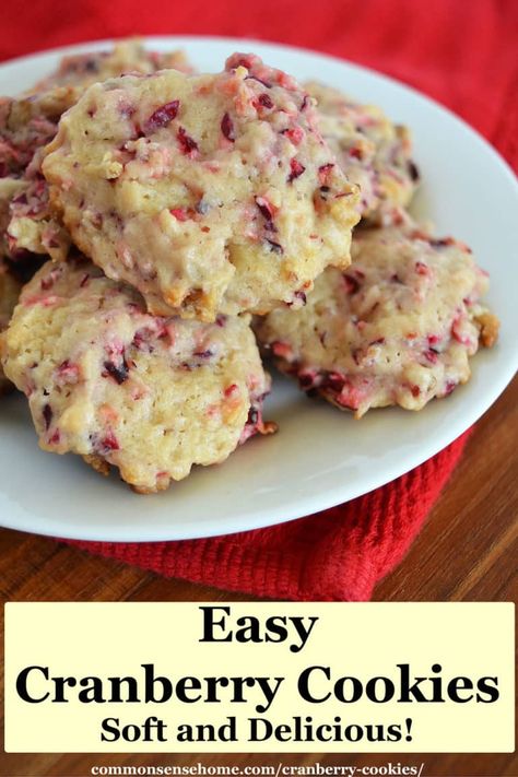 Cranberry Orange Cookies With Fresh Cranberries, Cranberry Nut Cookies Recipe, Fresh Cranberry Cookies Recipes, Indian Pudding Recipe, Fresh Cranberry Recipes, Cranberry Recipe, Cookie Basket, Cranberry Cookies Recipes, Cranberry Orange Cookies