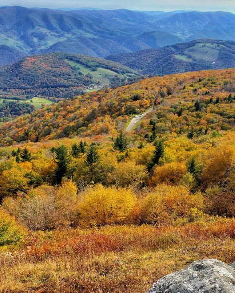 Fall 2022 Spruce Knob-Seneca Rocks National Recreation Area Seneca Rocks, Fall 2022, West Virginia, Beautiful Pictures, Virginia, Natural Landmarks, Travel, Nature