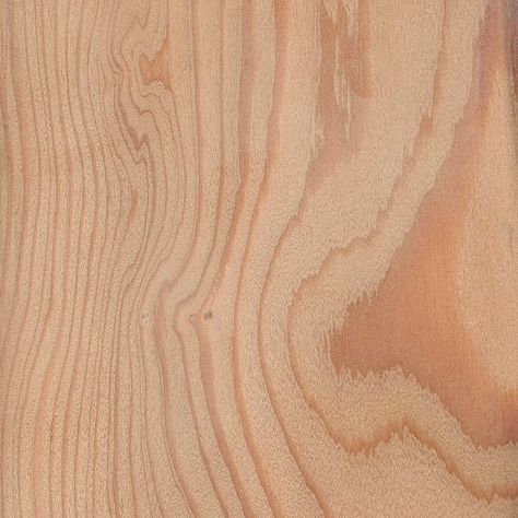 European Larch | The Wood Database - Lumber Identification (Softwood) Larix Decidua, Toilet Remodel, Diy Hummingbird Feeder, Larch Cladding, Larch Wood, Wood Sample, White Kitchen Design, Exterior Cladding, Ornamental Trees