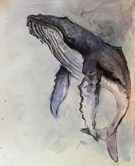 Fish Gcse Art, Sealife Gcse Art, Sea Life Artists, Sealife Art, Sea Life Artwork, Watercolour Animals, Whale Drawing, Sea Creatures Art, Whale Painting