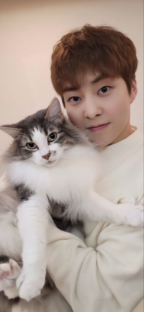 Xiumin Wallpaper, Kim Minseok Exo, Exo Anime, Exo Lockscreen, Kim Min Seok, Exo Xiumin, Exo Do, Xiu Min, Exo Memes