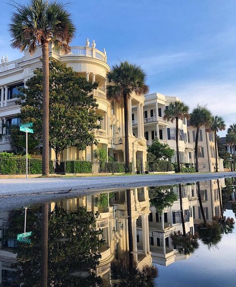 Charleston Sc Homes, Charleston Style, Antebellum Homes, Charleston Travel, Folly Beach, Love Garden, Closer To Nature, Frank Lloyd, Gorgeous Gardens