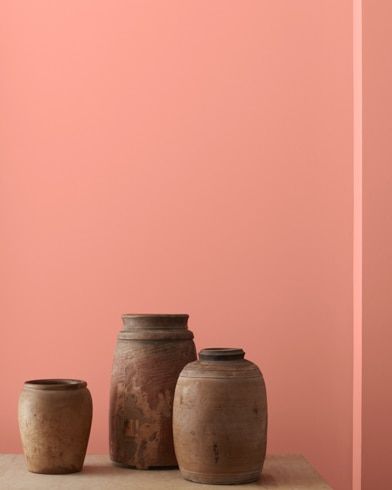 Unglazed Pottery, Paint Color Swatches, Peach Paint, Fan Coral, Paint Colors Benjamin Moore, Benjamin Moore Colors, Benjamin Moore Paint, Pink Paint, Color Swatch