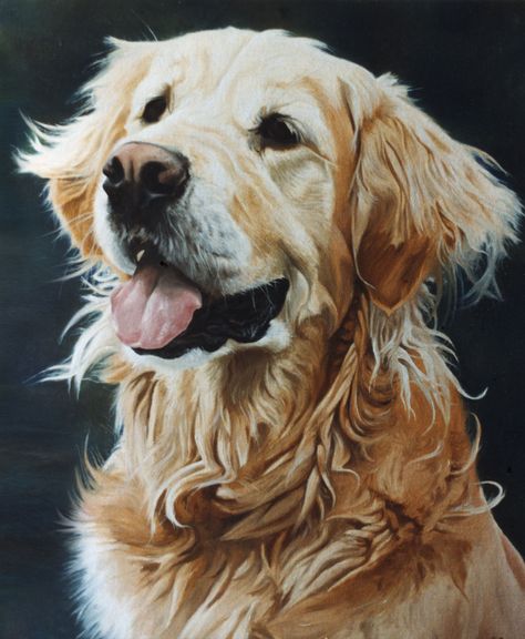 Golden Retriever dog portrait oil painting on canvas Acrylic Dog Portraits, Acrylic Dog Painting, Dog Acrylic Painting, Golden Retriever Painting, Chien Golden Retriever, Golden Retriever Art, Dog Portraits Painting, Portrait Oil Painting, A Golden Retriever