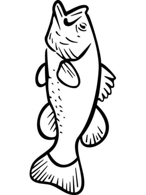 Bass Coloring Pages Fish Coloring Pages For Kids, Fish Coloring, Fish Coloring Page, Fish Artwork, Bass Fish, Shrinky Dink, Paper Flowers Wedding, Fish Patterns, Kids Coloring