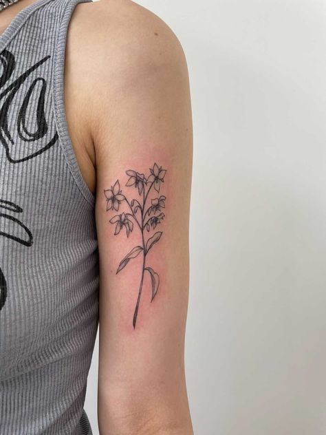 #flowertattoo #tattoo #fineline #finelinetattoo #tattooinspo Borage Flower Tattoo, Borage Tattoo, Big Fine Line Tattoo, Borage Flower, Tattoos Inspiration, Tiger Tattoo, Fine Line Tattoos, Line Tattoos, Tattoo Inspo