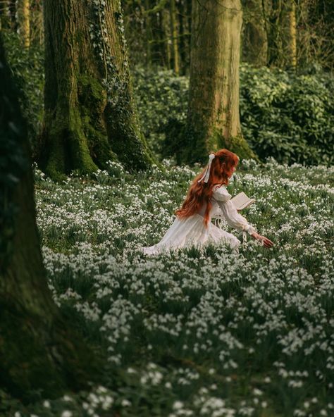 Fairytale Photoshoot, Fairy Photoshoot, Fairies Photos, Fairytale Aesthetic, Cold Time, Dreamy Photography, Fantasy Forest, Fantasy Photography, Cottagecore Aesthetic