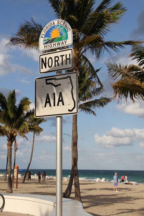 Fort Lauderdale Beach Aesthetic, Ft Lauderdale Aesthetic, Fort Lauderdale Florida Aesthetic, Fort Lauderdale Aesthetic, Florida Clearwater, Wind Surfing, Miss Florida, Jet Skiing, Fort Lauderdale Beach