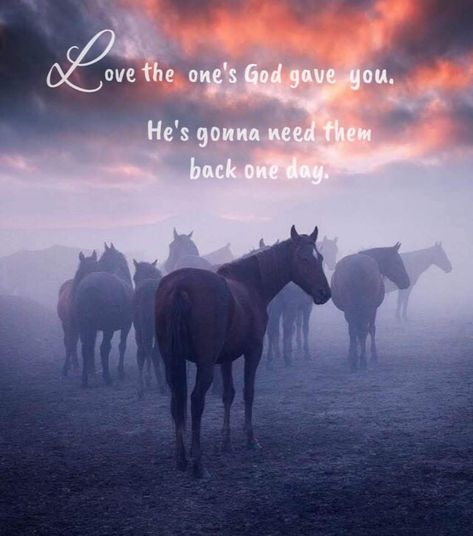 Horse Quotes, Cowgirl Chic, Back Pain Exercises, Inspirational Quotes God, Trust God, Life Is Good, First Love, Horses