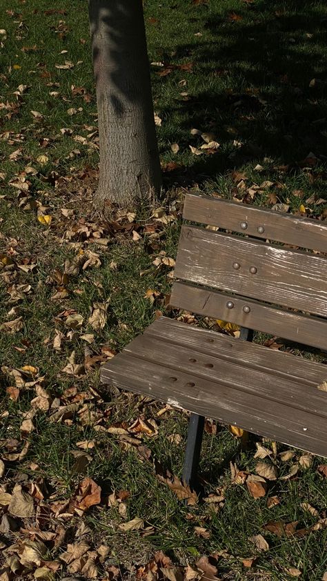 Old Park Aesthetic, Bench Aesthetic Park, Park Bench Aesthetic, Kei Miyama, Parque Aesthetic, Aesthetic Bench, Bench Aesthetic, Isn't It Lovely All Alone, Bench Photography