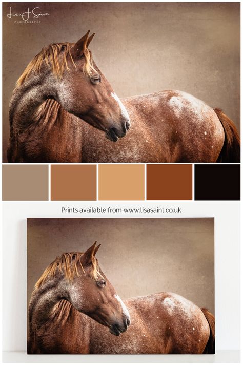 Equestrian Color Palette, New Forest Pony, Color Palette From Image, Best Landing Page Design, Horse Brand, Glicee Prints, Horses Equestrian, Dog Grooming Business, Equestrian Decor