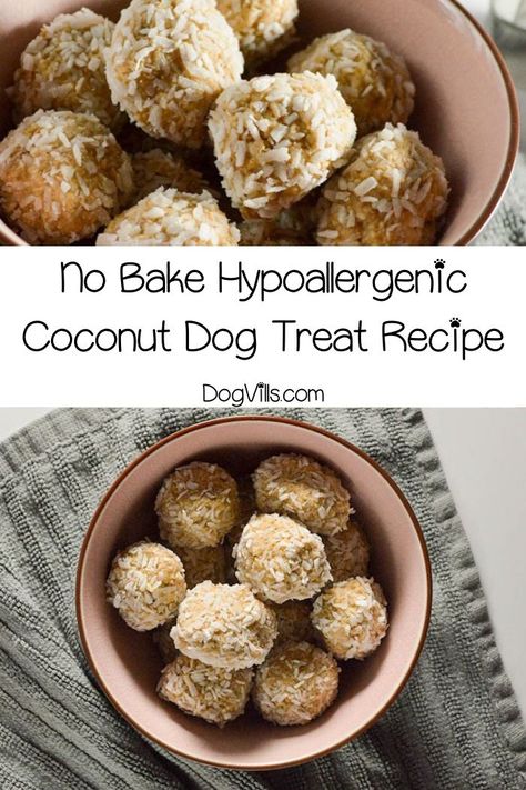 Ready for another delicious no-bake hypoallergenic dog treat recipe? I know I am! It is getting HOT out there! I definitely don't want to turn on my oven if I can avoid it. I'm all about no-bake right now. This particular coconut treat is fabulous for dogs with allergies, especially if they have itchy skin. Get the recipe now! #dogs #DogLife #dogfood #dogfoodwet #dognutrition #dognutritiontips #dognutritionguide Bake Dog Treats, Dog Treats Recipes, No Bake Dog Treats, Hypoallergenic Dog Treats, Pet Cake, Dogs With Allergies, Homemade Pet Treats, Dog Treat Recipe, Dog Biscuit