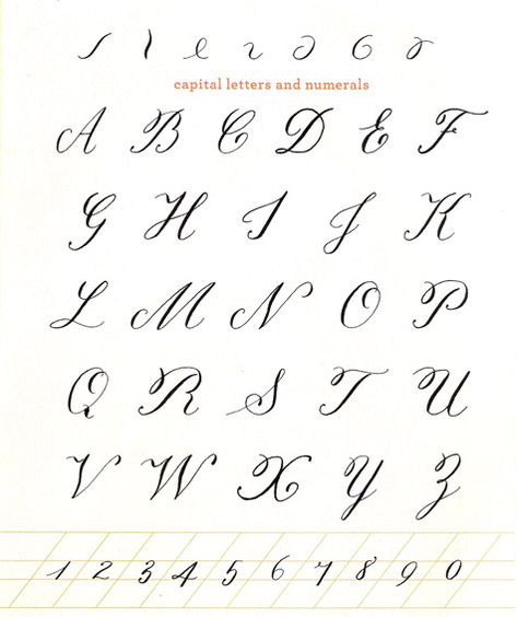 Fancy Cursive Calligraphy Alphabet | ... Calligraphy. The styles of this Calligraphy Alphabet is very cursive Cursive Calligraphy Alphabet, Alphabet Cursive, Modern Calligraphy Alphabet, Alphabet Practice Sheets, Alphabet Calligraphy, Fancy Cursive, Calligraphy Fonts Alphabet, English Calligraphy, Cursive Calligraphy