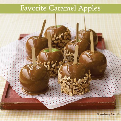 Gooseberry Patch Recipes: Favorite Caramel Apples from Weeknight Slow Cooker Covered Apples, Caramel Apples Recipe, Chocolate Covered Apples, Easy Meal Ideas, Up Halloween, Halloween Recipes, Apple Crisp, Candy Apples, Delicious Chocolate