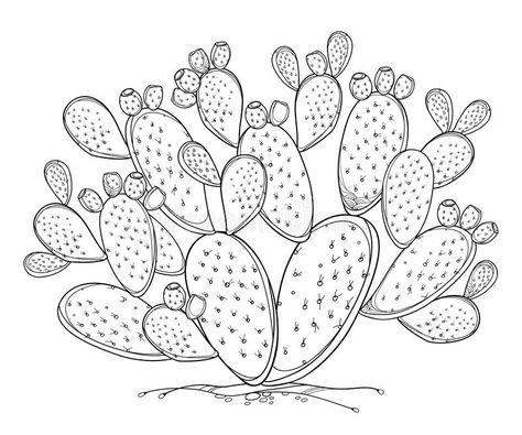 Cactus Fruit, Prickly Cactus, Cactus Art Print, Cactus Tattoo, Cactus Drawing, Cactus Illustration, Pear Cactus, Cactus Painting, Prickly Pear Cactus