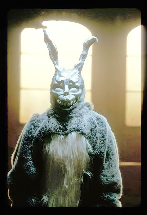 Donnie Darko Movie Stills, Donnie Darko Bunny, Donnie Darko Rabbit, Donnie Dark, Frank Donnie Darko, Realism Practice, Horror Portrait, Horror Earrings, Goth Wallpaper