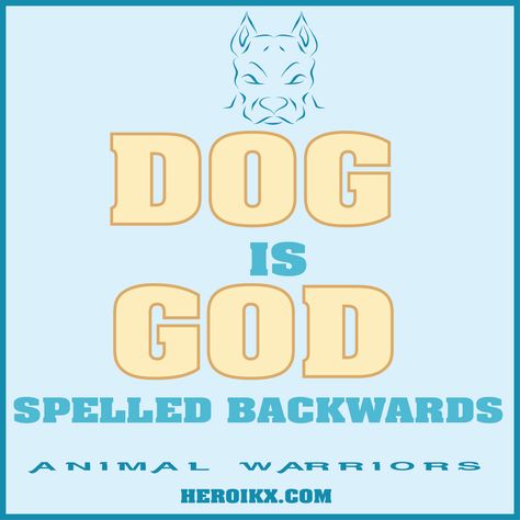 Dog Is God Spelled Backwards God Loves Us, Book Launch, Guardian Angels, Faith Hope Love, Hope Love, Animal Quotes, Dog Quotes, Faith Hope, Little Dogs