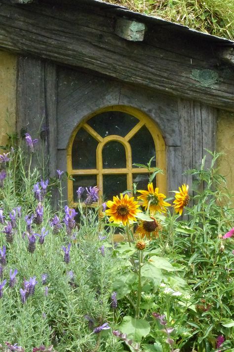 Buttercup Cottage, Sunflower Cottage, Cottage Flowers, Love The Earth, Cottage Gardens, Hobbit House, Flower Gardening, Garden Windows, Country Scenes