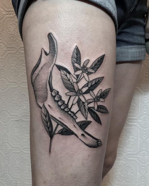 Elk jawbone and orange blossoms. #tttism #tattoodo #blacktattooart #blackworkerssubmission #blackworkers #btattooing #tattoo #tattoos Animal Jaw Bone, Justin Ryan, Scar Cover Up, Bone Tattoo, Bone Tattoos, Orange Blossoms, B Tattoo, Jaw Bone, Hand Wrist