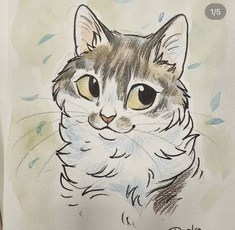 Mainecoon Cat Drawing, Cats Drawing Sketches, Fluffy Cat Drawing, Cute Art Cartoon, Sketch Drawing Ideas, Art Cartoon Drawing, Sketch Anatomy, Cat Drawing Ideas, Simple Cat Drawing