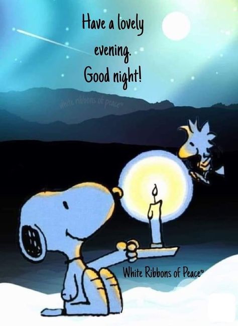 Good Evening Funny Images, Snoopy Evening, Snoopy Good Night, Funny Good Night Pictures, Goodnight Pics, Goid Night, Night Hug, Funny Good Night, Good Night Meme