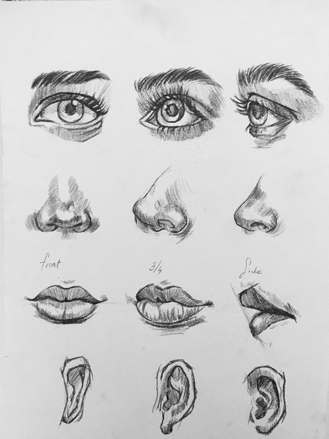 #çizim #kolayçizim #fotoğraf #portre #göz #gözçizim #burun #burunçizim #dudak çizim #kolay çizimler #resim #portre #karakalem Eye Base Drawing, Drawing Ideas Eyes, Cool Eye Drawings, Face Art Drawing, Base Drawing, Human Figure Sketches, Eyes Artwork, Nose Drawing, Eye Base