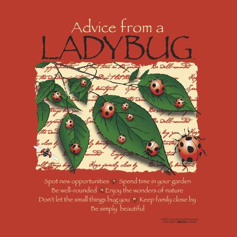 Ladybug Quotes by @quotesgram Ladybug Quotes, Earth Sun And Moon, Facial For Dry Skin, Best Lotion, A Ladybug, Quotes By Authors, Makes You Beautiful, Enjoy Nature, It Cosmetics Brushes