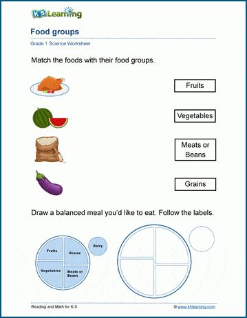 Food Groups Worksheets.  There are 5 main food groups:  Fruits, Vegetables, Meats or Beans, Grains and Dairy. In these worksheets, students will match foods to their food group and draw a balanced meal.  Free | Printable | Grade 1 | Science | Worksheets. Balance Meal, Log Math, Kindergarten Grammar, Kindergarten Vocabulary, Nouns Verbs Adjectives Adverbs, A Balanced Meal, Early Science, Fry Sight Words, Main Food