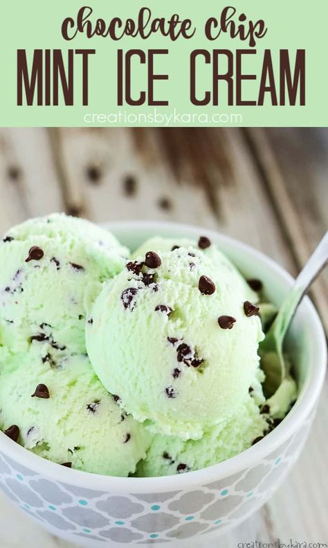 Homemade Mint Chocolate Chip Ice Cream Recipes, Mint And Chip Ice Cream, Ninja Creami Ice Cream Recipes Mint Chocolate Chip, Mint Chocolate Chip Ninja Creami, Ninja Creami Mint Ice Cream, Ninja Creami Mint Chocolate Chip Recipe, Mint Chip Ice Cream Recipe, Ice Cream Mint Chocolate Chip, Chocolate Chip Mint Ice Cream