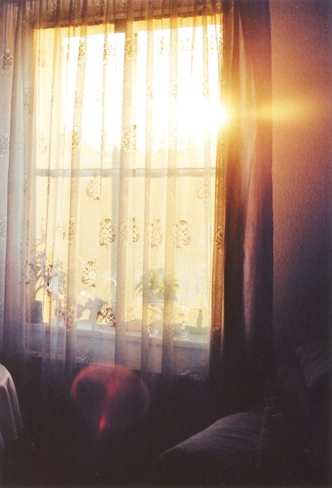 Untitled | Sophie Ha | Flickr Window View, Through The Window, Foto Inspiration, Morning Light, Sheer Curtains, Photo Profil, In The Woods, Light And Shadow, Photography Inspiration